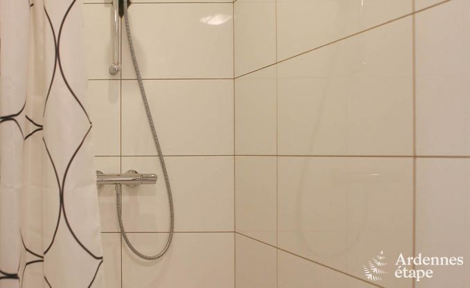 Vakantiehuis in Bertrix (Jehonville) voor 21 personen in de Ardennen