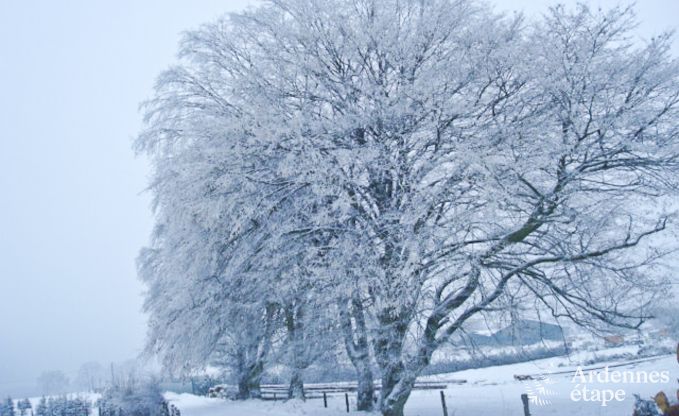 Vakantiehuis in Bertrix (Jehonville) voor 7 personen in de Ardennen