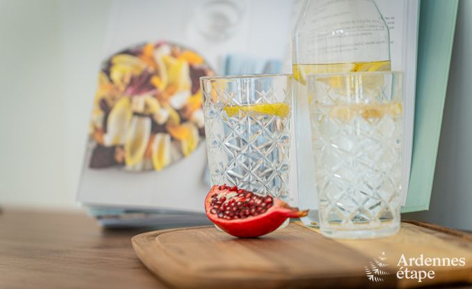 Luxueuze vakantievilla met sauna in Auby-sur-semois, Ardennen