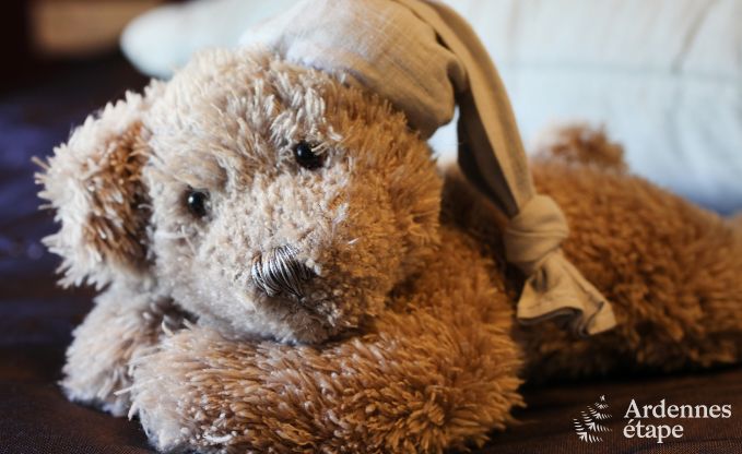 Vakantiehuis in Bertrix voor 12 personen in de Ardennen