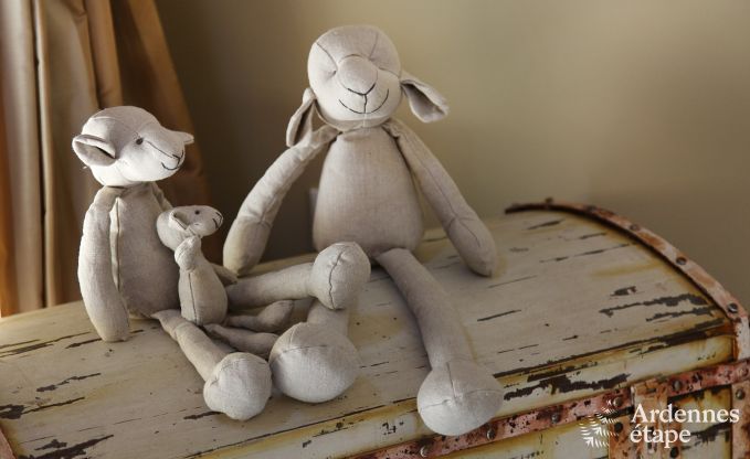 Vakantiehuis in Bertrix voor 12 personen in de Ardennen