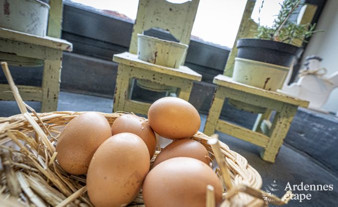 Vakantiehuis in Bertrix voor 4 personen in de Ardennen