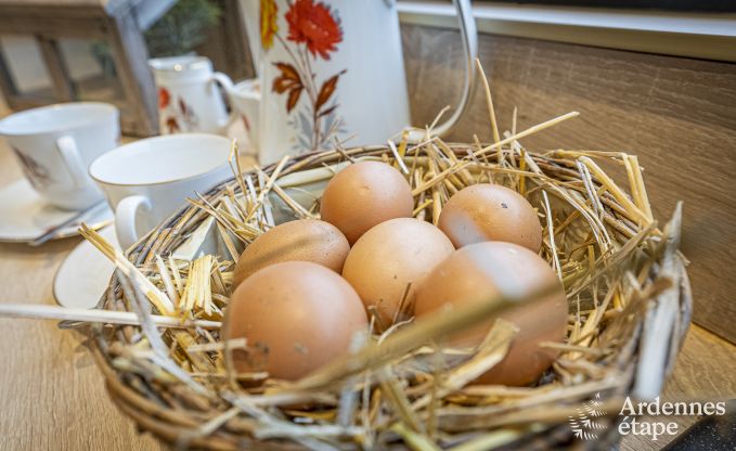 Vakantiehuis in Bertrix voor 6 personen in de Ardennen