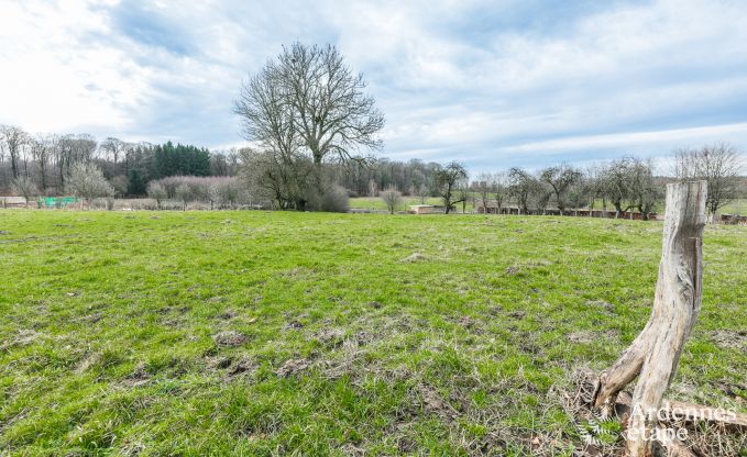Luxueus en hondvriendelijk vakantiehuis in Bertrix, Ardennen