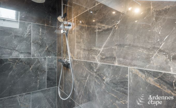 Luxueus en hondvriendelijk vakantiehuis in Bertrix, Ardennen