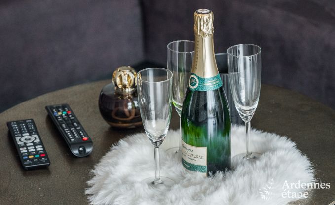 Luxueus en hondvriendelijk vakantiehuis in Bertrix, Ardennen