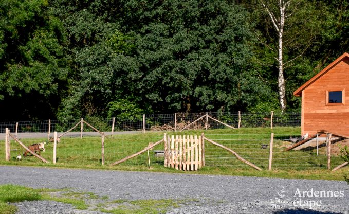 Vakantie op de boerderij in Bertrix voor 4 personen in de Ardennen