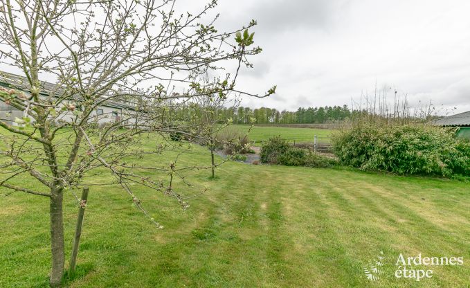 Vakantie op de boerderij in Bertrix voor 4 personen in de Ardennen