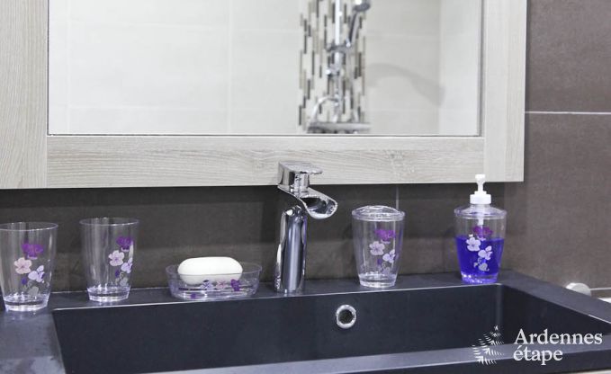 Vakantiehuis in Bertrix voor 4 personen in de Ardennen