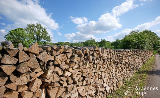 Gezellig en ruim vakantiehuis in Bertrix, Ardennen