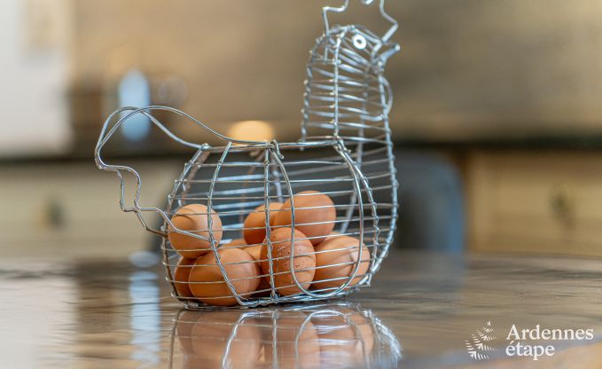 Vakantiehuis in Bertrix voor 9 personen in de Ardennen