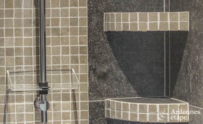 Luxe villa in Bi�vre voor 9 personen in de Ardennen