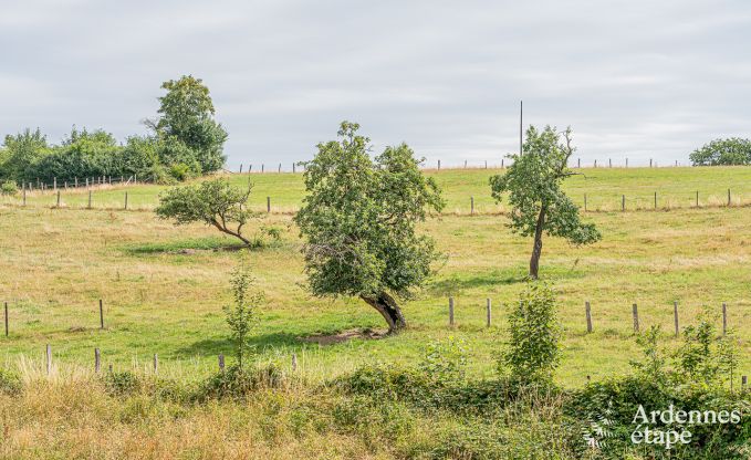 Vakantiehuis in Bi�vre voor 4 personen in de Ardennen