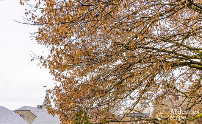 Vakantiehuis in Bi�vre voor 7 personen in de Ardennen