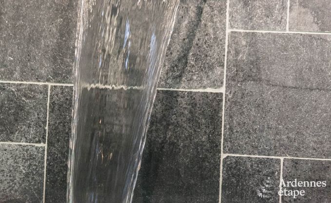 Luxe villa in Bivre voor 10 personen in de Ardennen