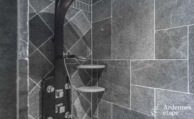 Luxe villa in Bivre voor 19 personen in de Ardennen