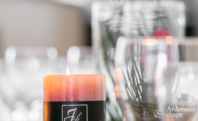 Vakantiehuis in Bi�vre voor 12 personen in de Ardennen