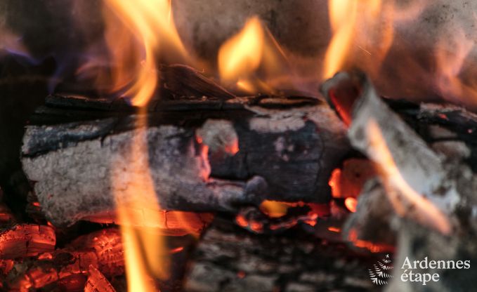 Vakantiehuis in Bi�vre voor 12 personen in de Ardennen