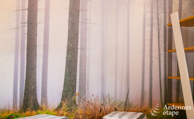 Vakantiehuis in Bi�vre voor 12 personen in de Ardennen
