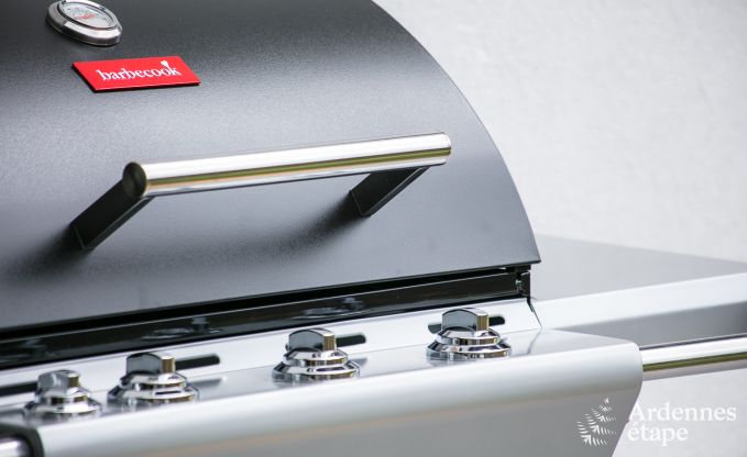 Vakantiehuis in Bi�vre voor 12 personen in de Ardennen