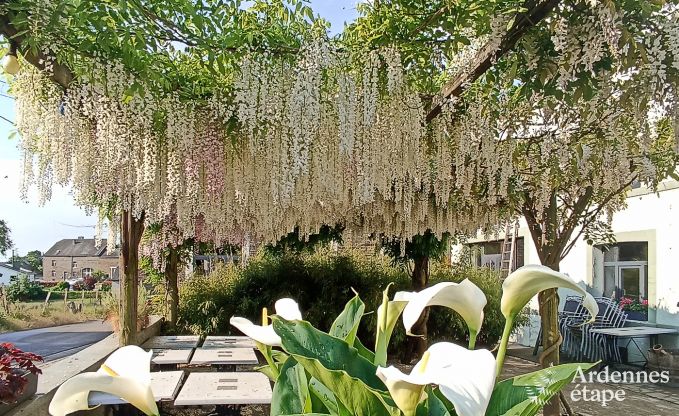 Hondvriendelijk vakantiehuis voor 10 personen in Bi�vre