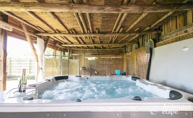 Hondvriendelijk vakantiehuis voor 10 personen in Bi�vre