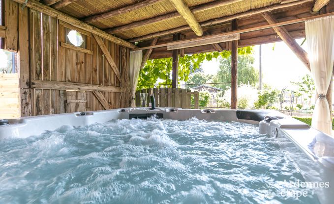 Hondvriendelijk vakantiehuis voor 10 personen in Bi�vre