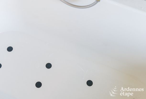 Vakantiehuis in Bonsin voor 8/9 personen in de Ardennen