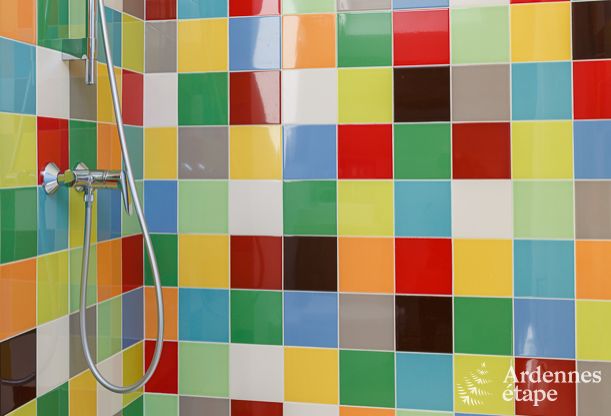 Vakantiehuis in Bonsin voor 8/9 personen in de Ardennen