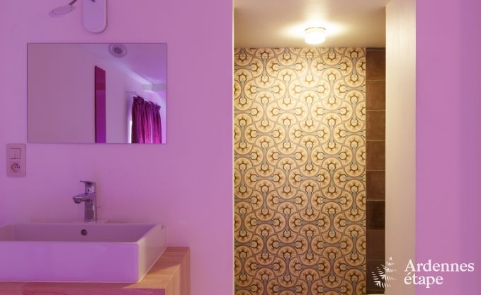 Vakantiehuis in Bonsin voor 8/9 personen in de Ardennen