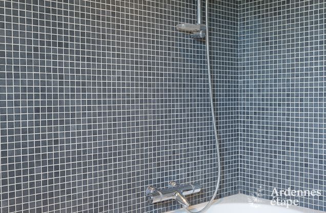 Vakantiehuis in Bonsin voor 8/9 personen in de Ardennen