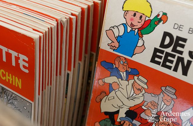 Vakantiehuis in Bonsin voor 8/9 personen in de Ardennen