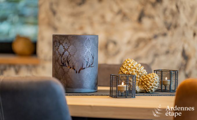 Ruime en comfortabel vakantiehuis in Bouillon, Ardennen