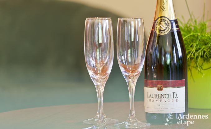 Vakantiehuis in Bouillon (Ucimont) voor 8 personen in de Ardennen