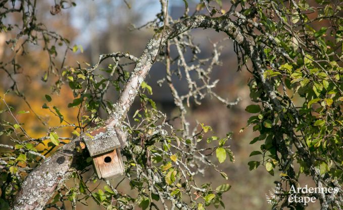 Chalet in Bouillon voor 4 personen in de Ardennen
