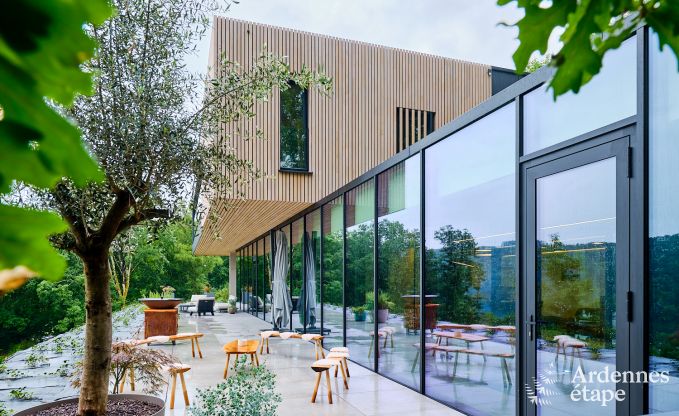 Luxevilla voor 14 personen in Poupehan met 6 slaap- �n badkamers, binnenzwembad en sauna