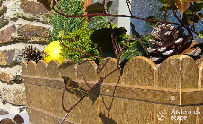 Vakantiehuis in Bouillon voor 4/5 personen in de Ardennen