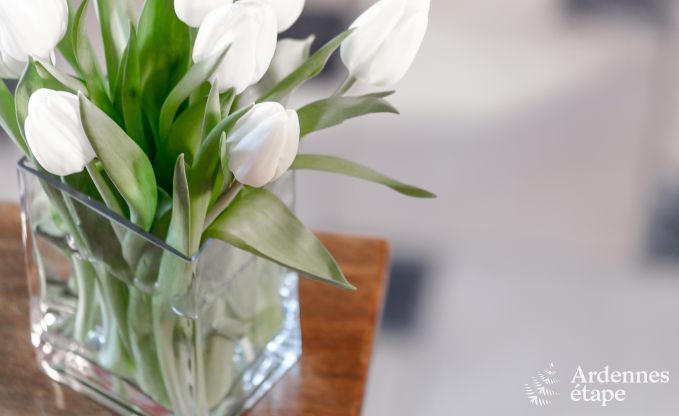 Vakantiehuis in Bouillon voor 8 personen in de Ardennen