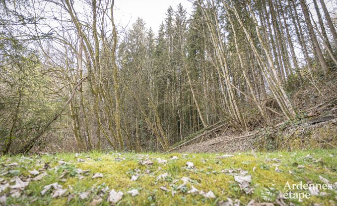 Vakantiehuis in Bouillon voor 6 personen in de Ardennen