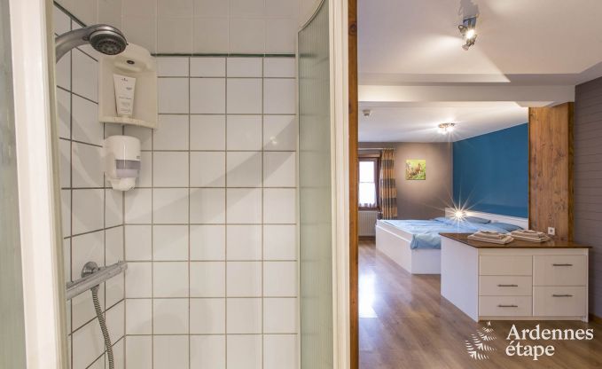 Vakantiehuis voor 12 personen met professionele keuken in Bouillon