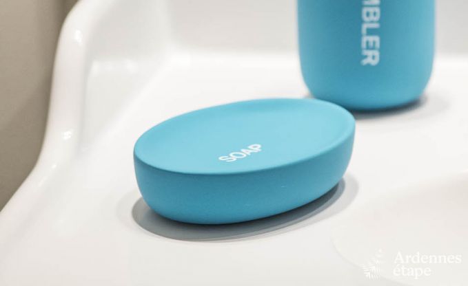 Vakantiehuis in Bouillon voor 10 personen in de Ardennen