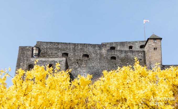 Vakantiehuis in Bouillon voor 5/6 personen in de Ardennen