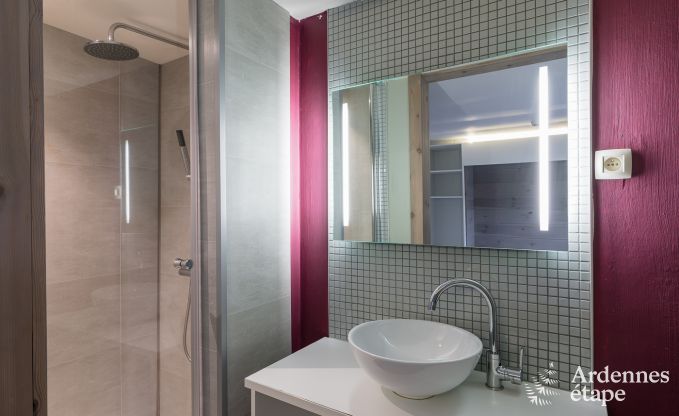 Vakantiehuis in Bouillon voor 18 personen in de Ardennen