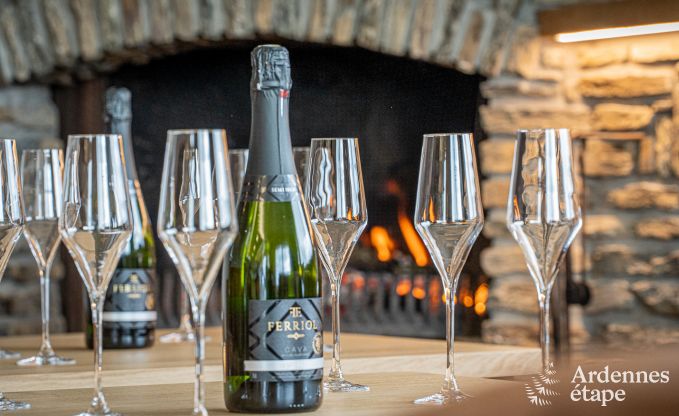 Luxe villa in Bouillon voor 14 personen in de Ardennen