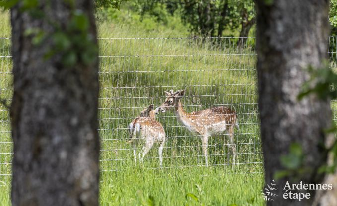 Luxe villa in Bouillon voor 20 personen in de Ardennen