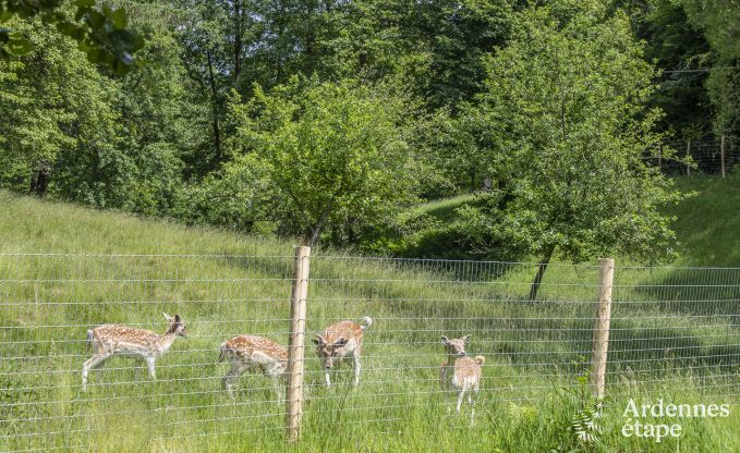 Luxe villa in Bouillon voor 20 personen in de Ardennen