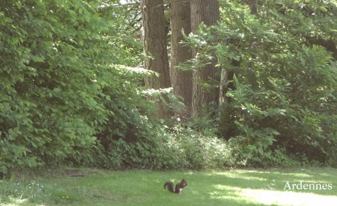 Vakantiehuis in Bouillon voor 9 personen in de Ardennen