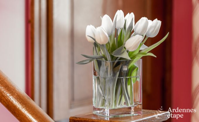 Vakantiehuis in Bouillon voor 8 personen in de Ardennen