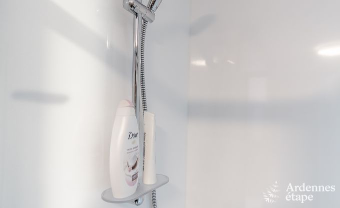 Vakantiehuis in Bouillon voor 8 personen in de Ardennen