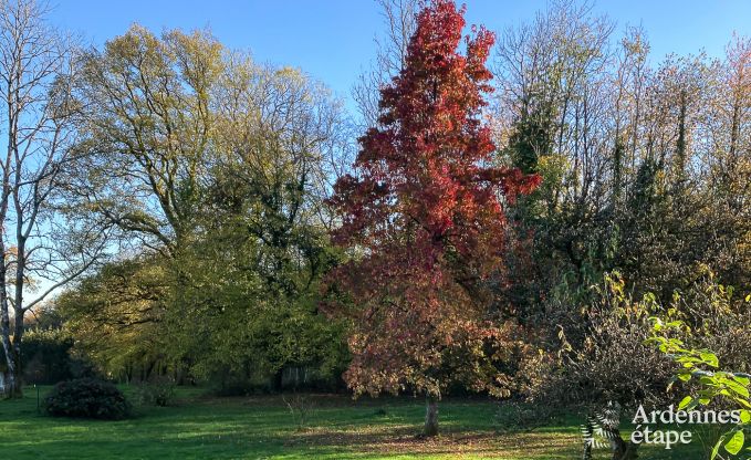 Van voormalig caf� tot vakantiehuis voor 8 personen in Bouillon: authentieke charme en modern comfort